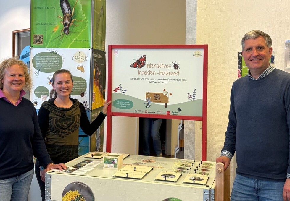 I² CAMPUS Infotrail bringt Insektenvielfalt in die Mainzer Innenstadt