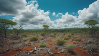 Klimafiktion in der Literatur: Zwischen Hoffnung und Hoffnungslosigkeit