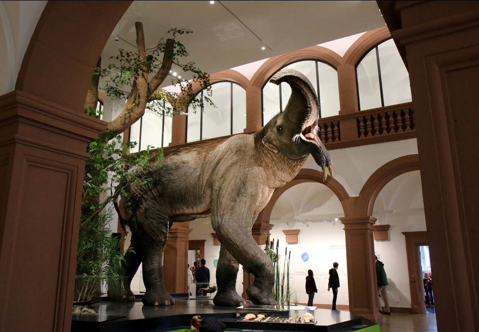 Mainzer Naturkundemuseum beteiligt sich an SWR-Kampagne gegen Einsamkeit mit Führung und Mitmach-Aktion