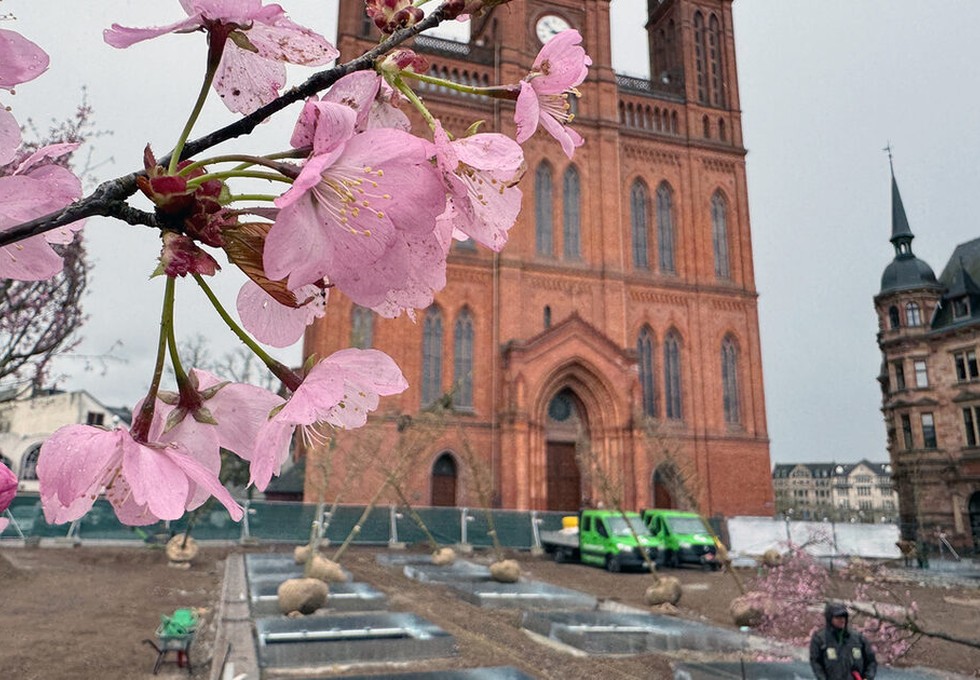 Schlossplatz in Wiesbaden bekommt 24 Bäume und unterirdische Bewässerung