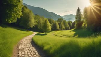 Soziale Aufstiegschancen in Deutschland schwinden: Studie des ifo-Instituts zeigt besorgniserregende Entwicklung