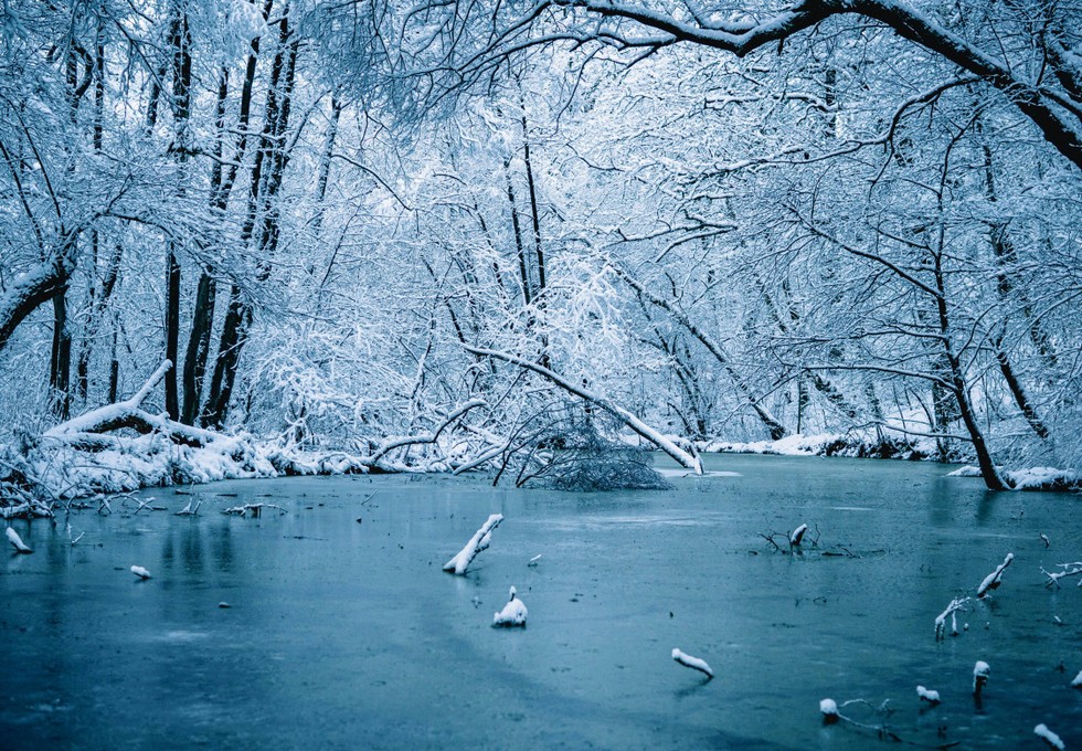 Wiesbaden warnt: Zugefrorene Gewässer können trotz Frost lebensgefährlich sein Wiesbaden warnt: Zugefrorene Gewässer können trotz Frost lebensgefährlich sein